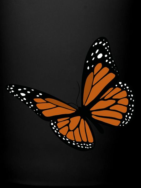 Papillon