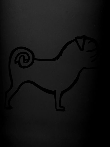 pug