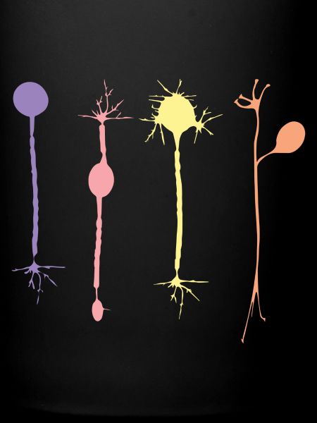 Neuron in harmony