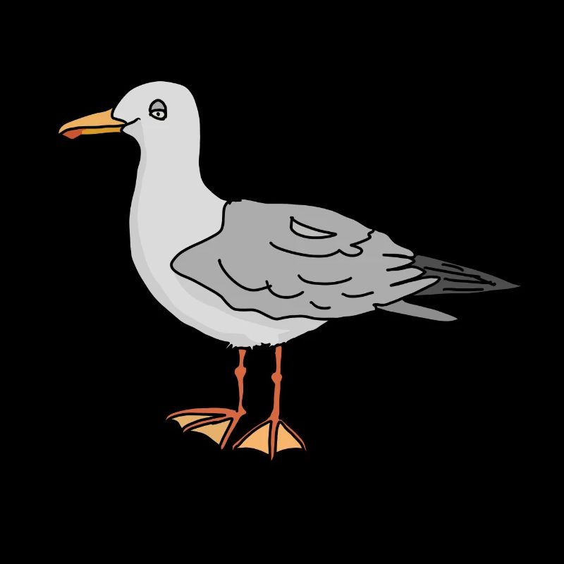 Möwe