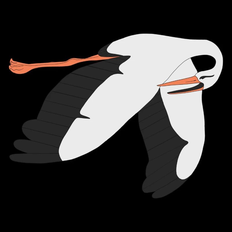 cicogna