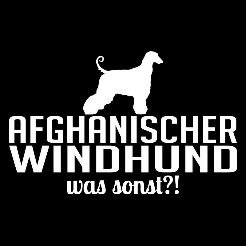 AFGHANISCHER WINDHUND was sonst Wilsigns Hunde