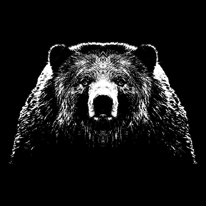 Bär / Kopf / Bear