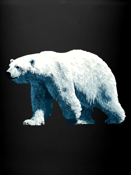 Polar Bear Polar Bear