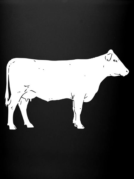 Ferme bovine Vector Élevage