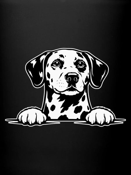 Dalmatian with paws