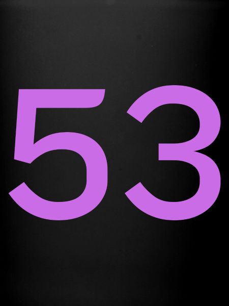 53