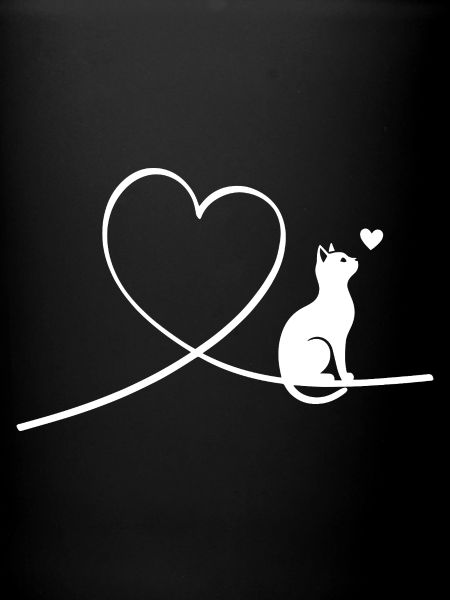 Katze