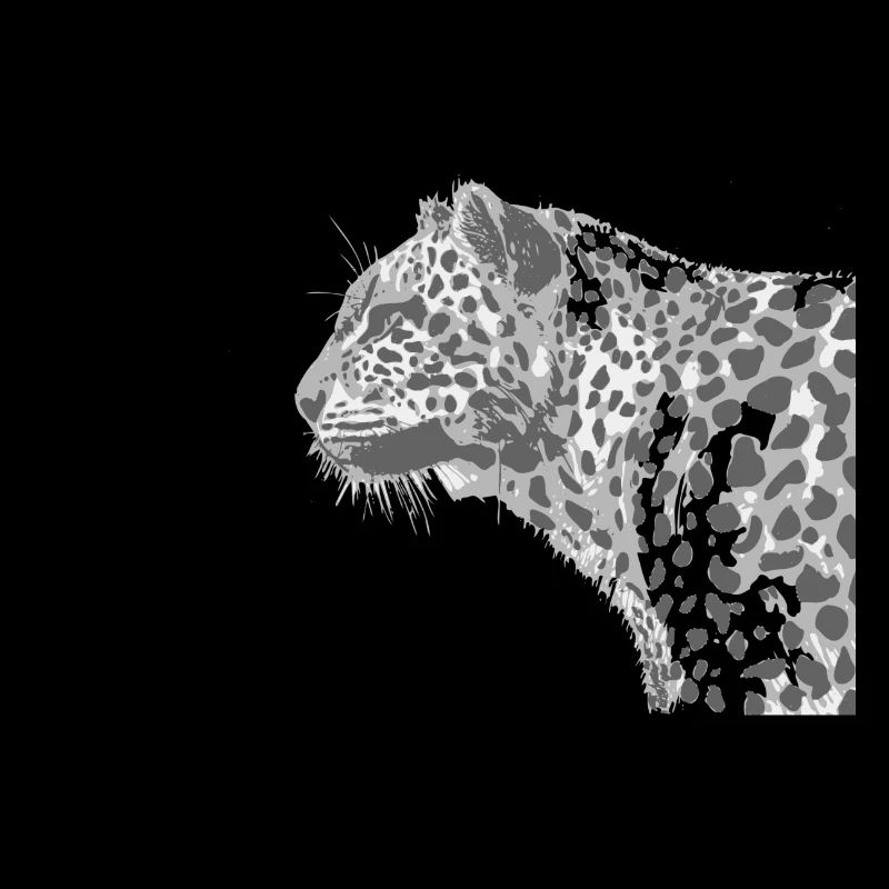 leopard