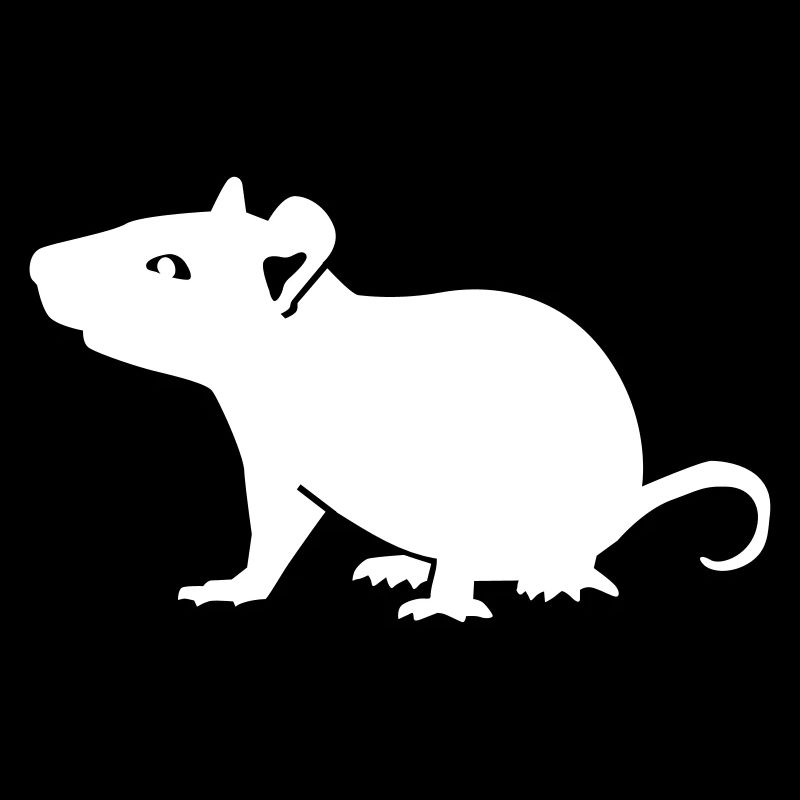 souris