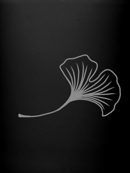 Ginkgo