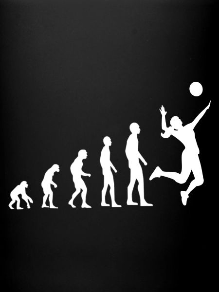 Volleyball Evolution