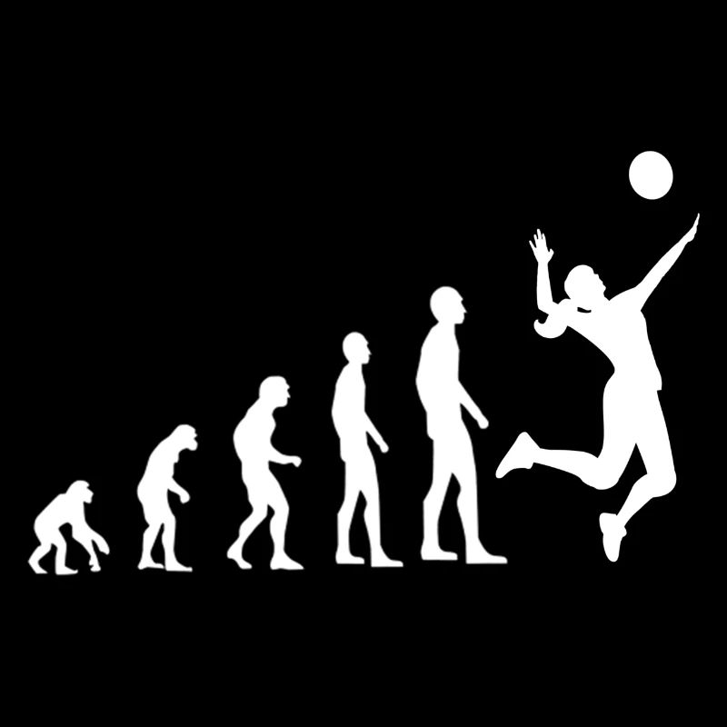 Volleyball Evolution