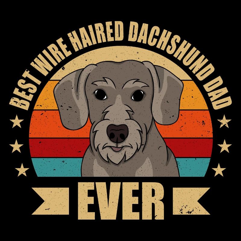 Rough-haired Dachshund Papa