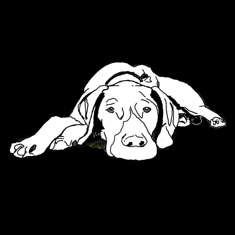 Pointer German Shorthair