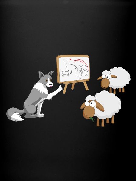 Border Collie Coach