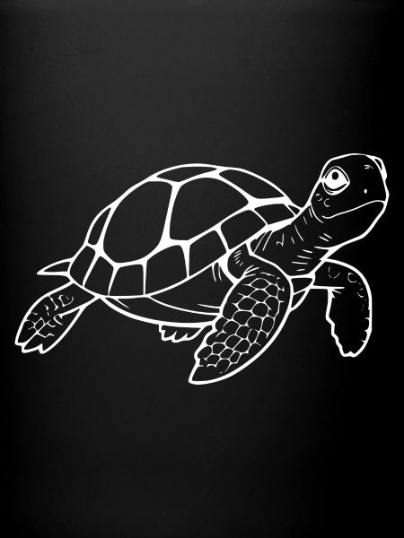 Turtle Turtles