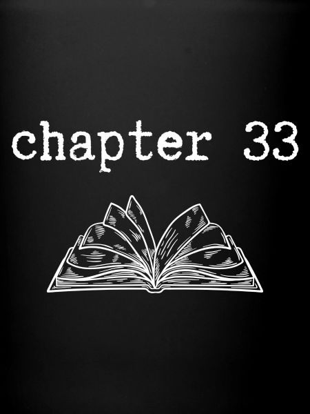 chapter 33 Birthday