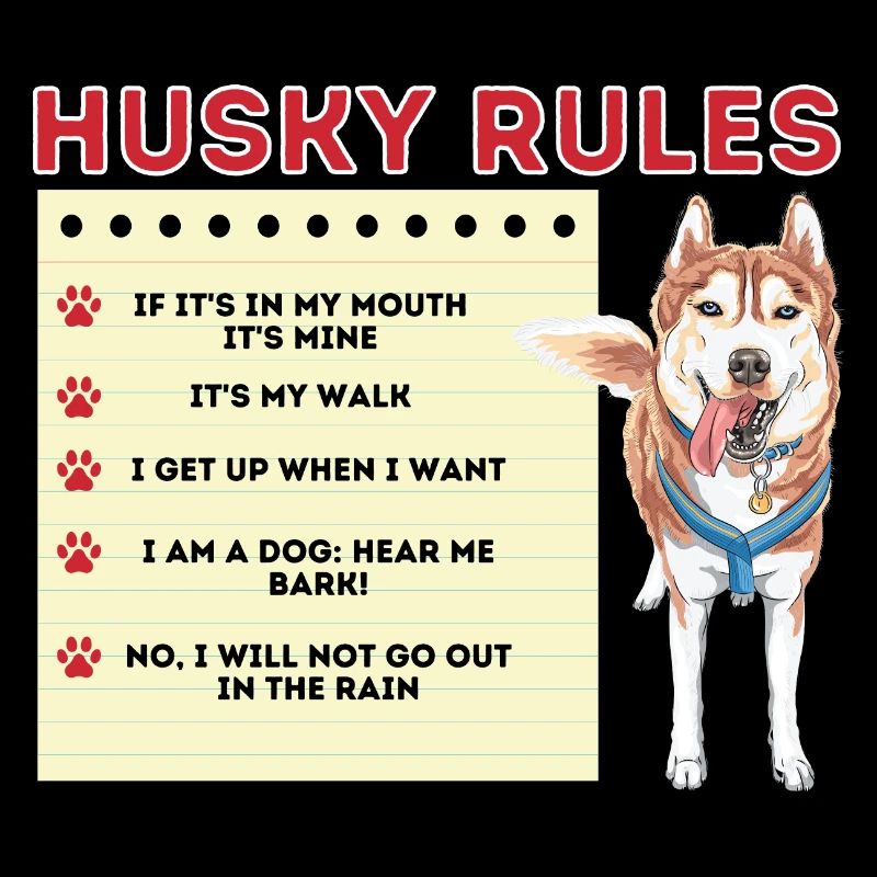 Husky Chien Husky Sibérien