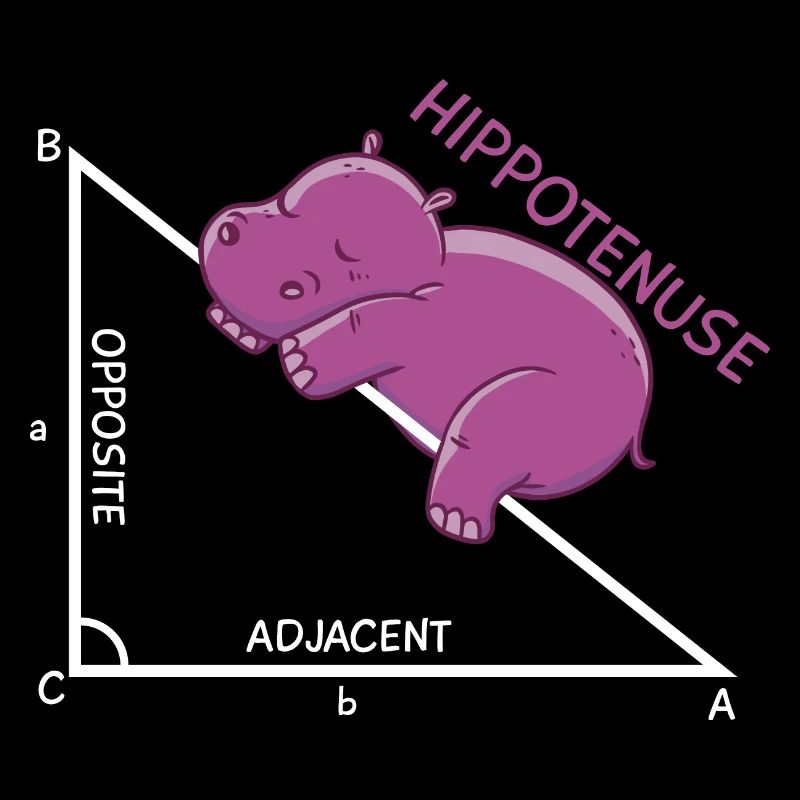 Hypoténuse Hippo Géométrie