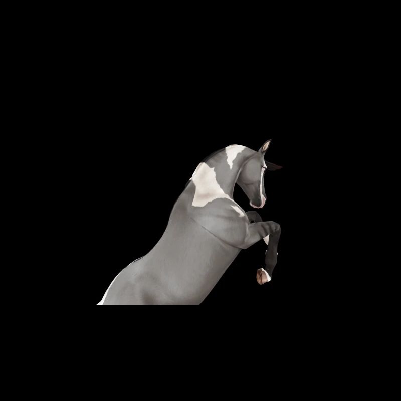 Tänzelndes Pferd