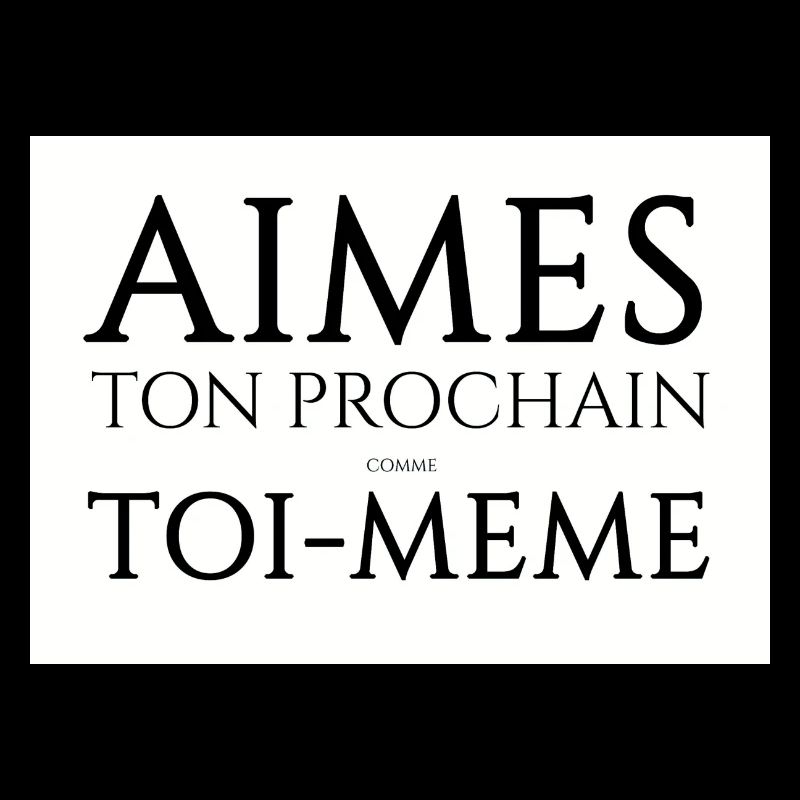 aimes 300