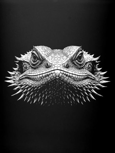 Dragon barbu