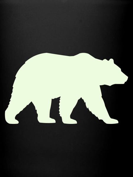grizzly_baer-