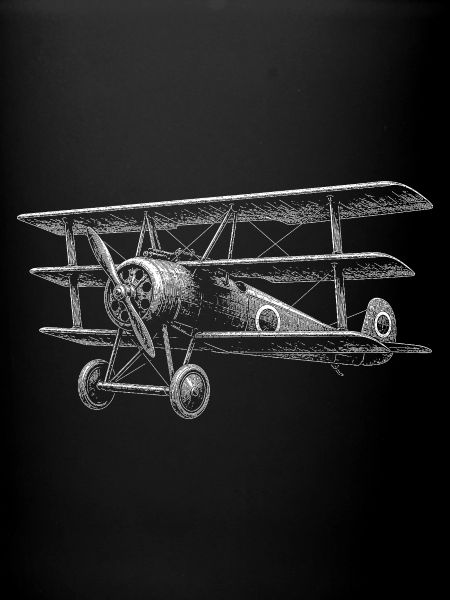 Triplane