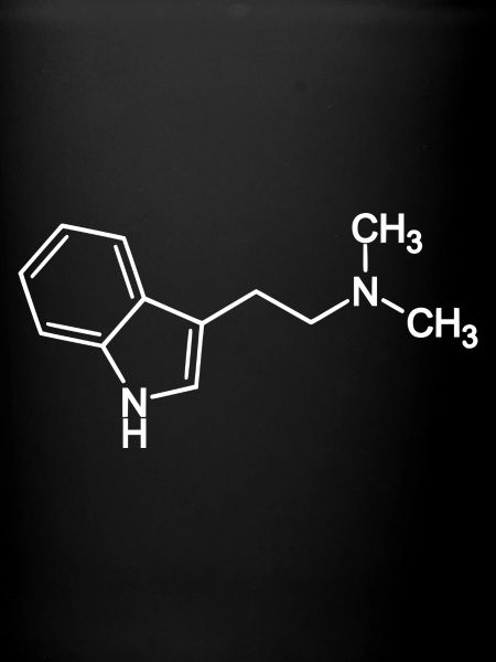 Molécule DMT N, N-Diméthyltryptamine