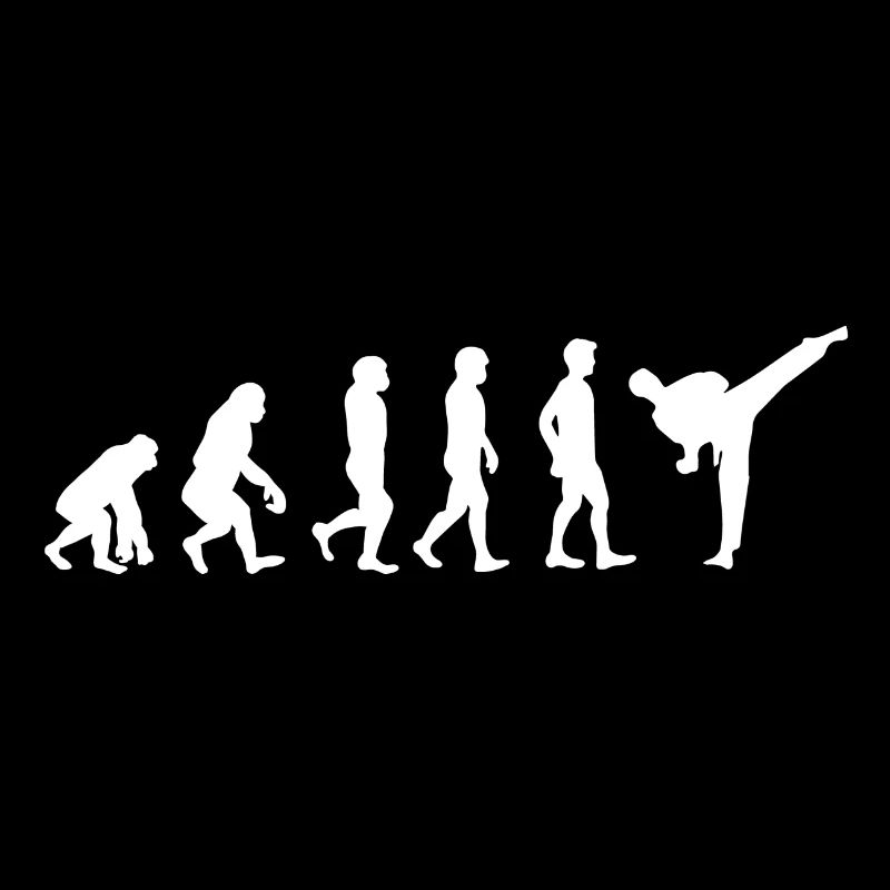 Karate Judo Martial Arts Kung Fu Evolution