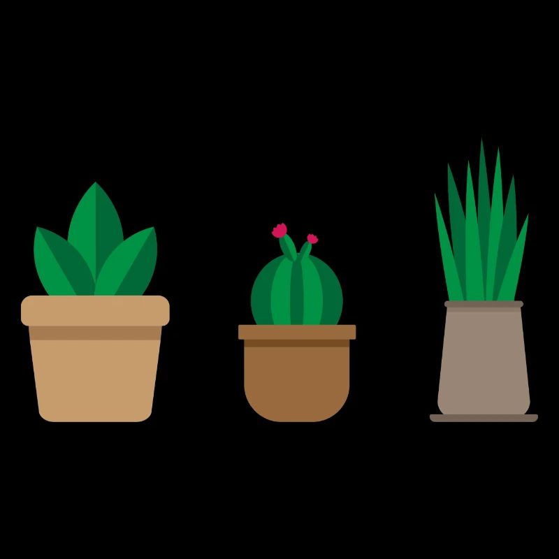 Cactus minimal flat design cacti gift