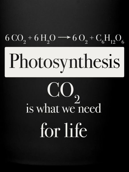 photosythesis