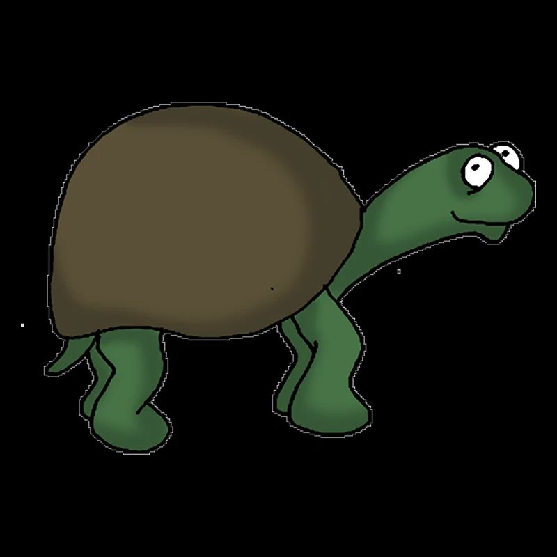 Turtle 2