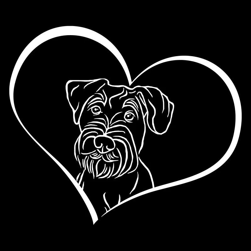 Mittelschnauzer im Herz