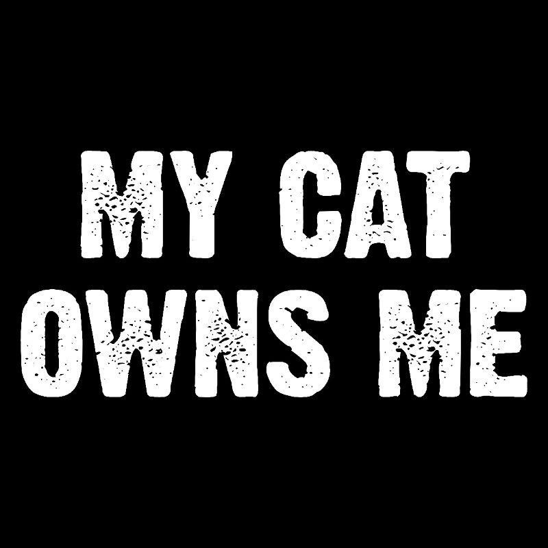 Mon chat me possède