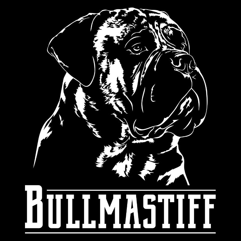 BULLMASTIFF Hunde Wilsigns Hundeportrait
