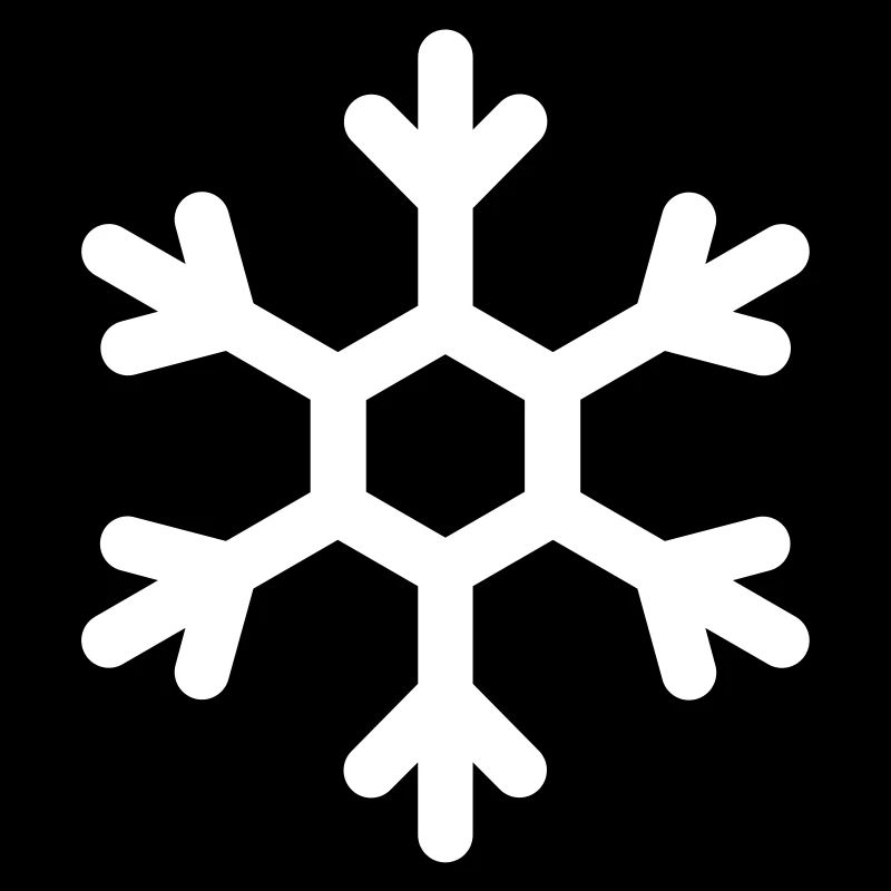 Cristal de glace Flocon de neige hiver Noël
