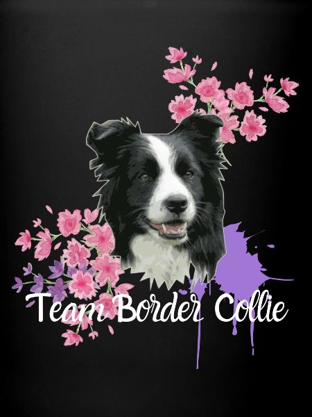 Équipe Border Collie