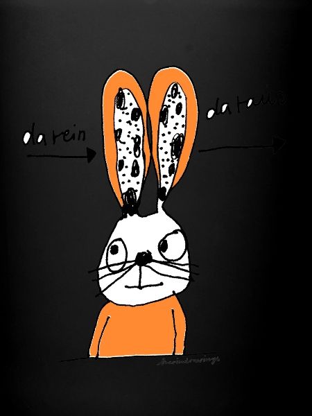 Hase da rein da raus