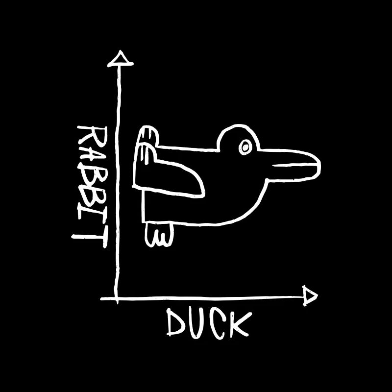 Rabbit Duck Canard Lapin Lapin Canard