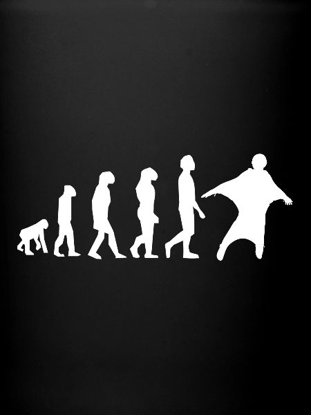 evolution wing suit