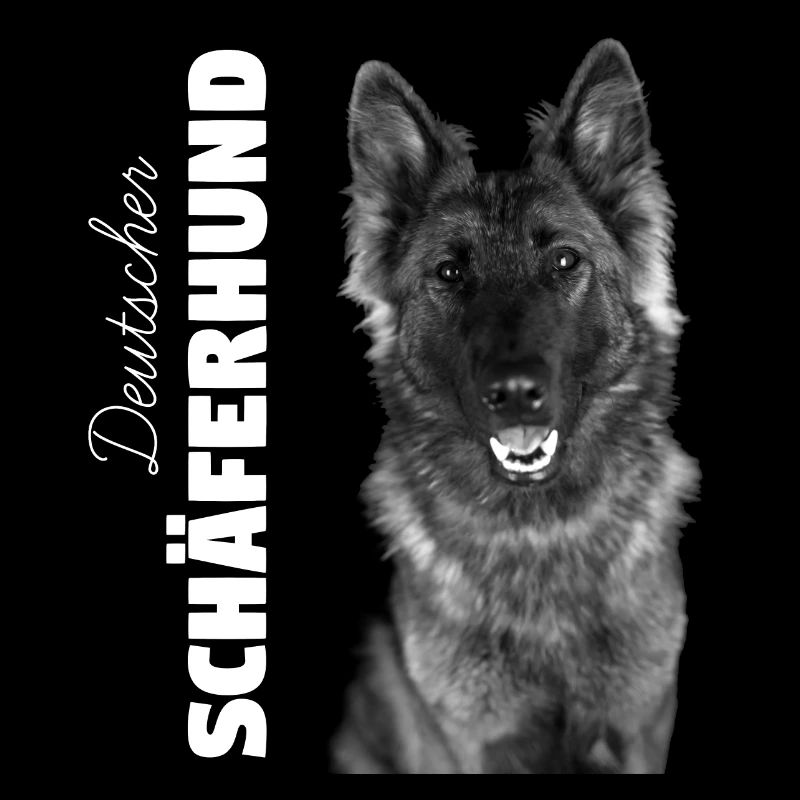 Deutscher Schäferhund