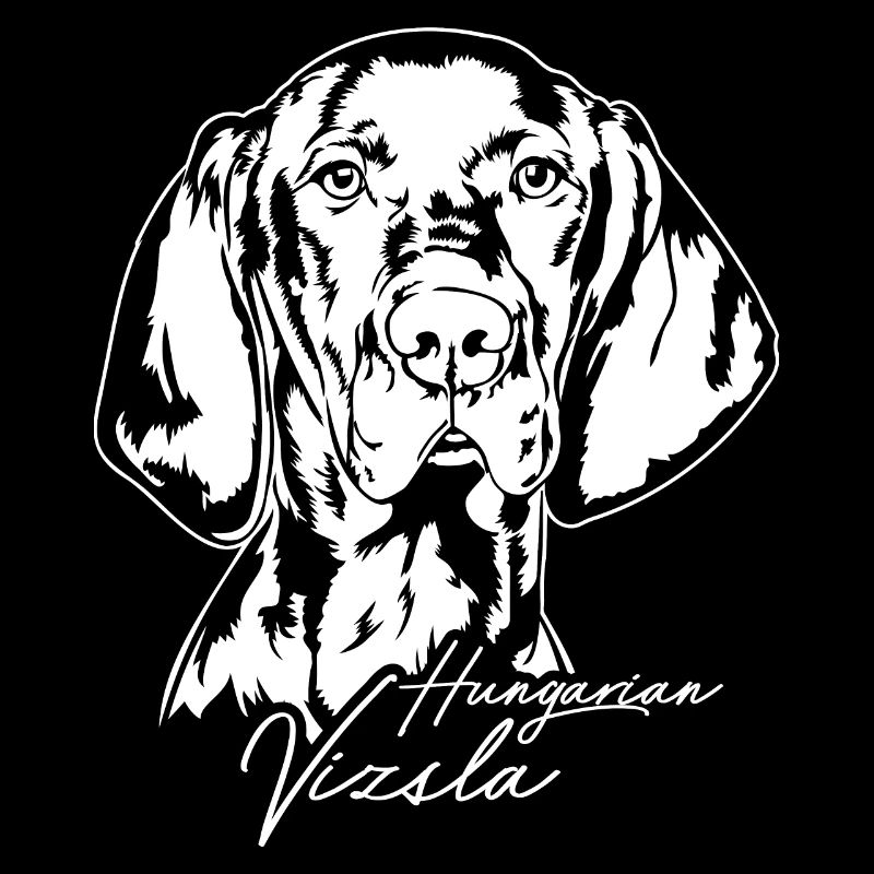 Hongrois Vizsla Portrait Chien Chiens Wilsigns