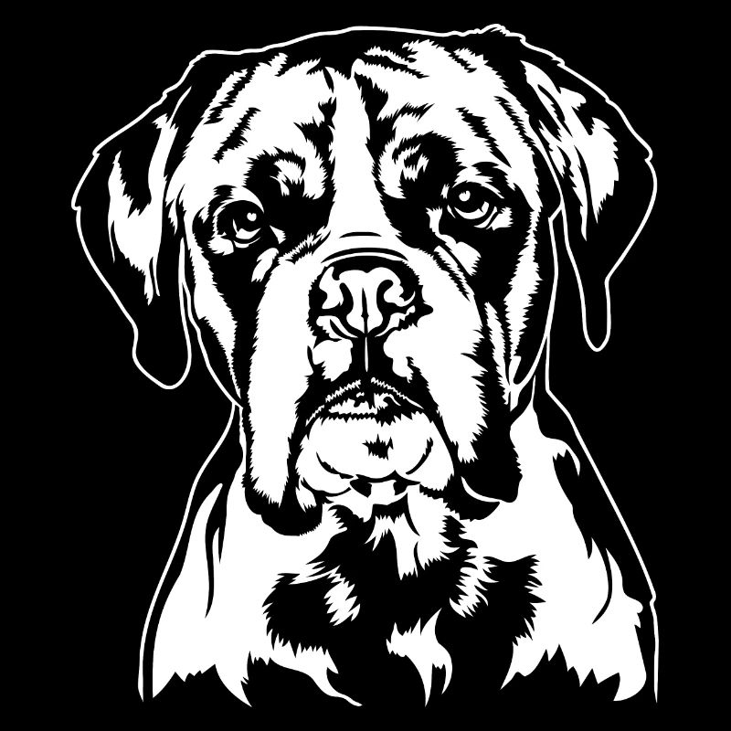 Deutscher Boxer Portrait Hunde Hund Wilsigns