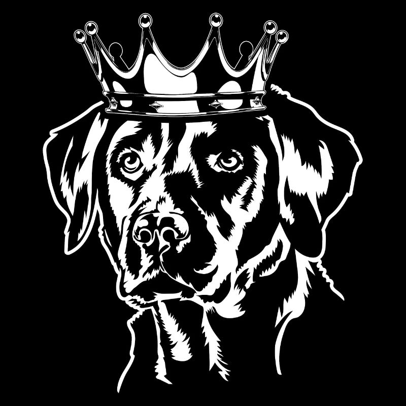 Labrador Retriever Labbi Crown Dogs Wilsigns