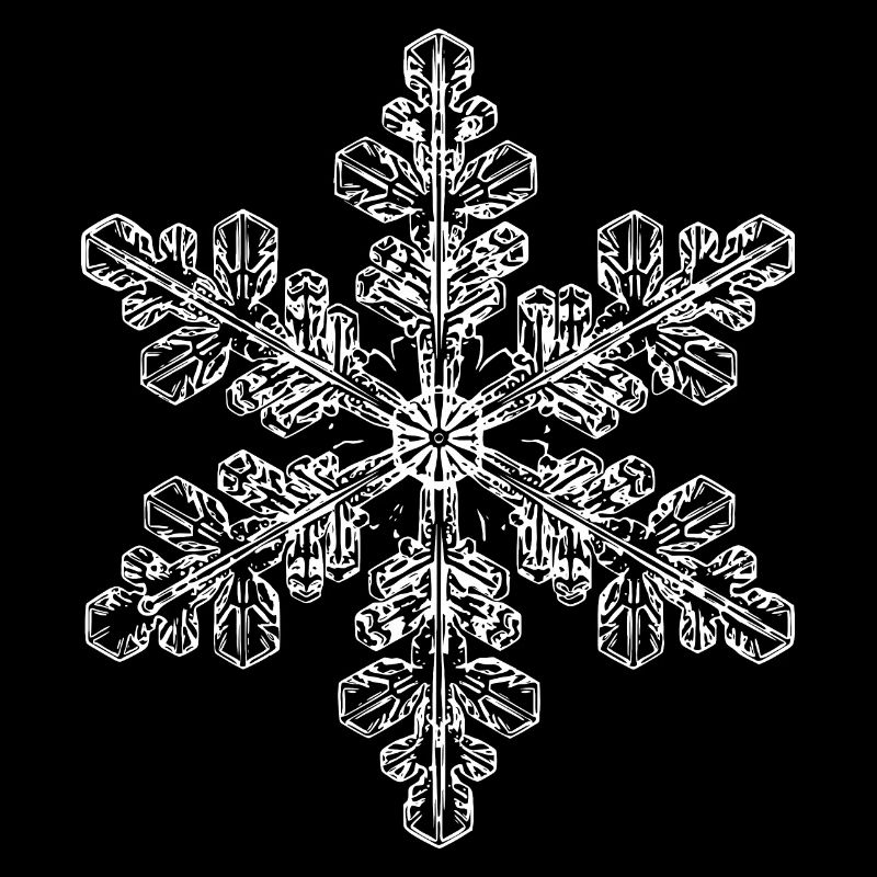 snowflake 6 white