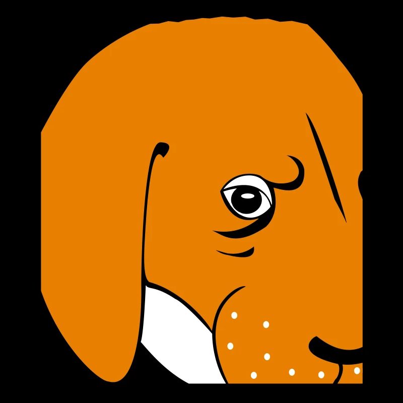 Chien