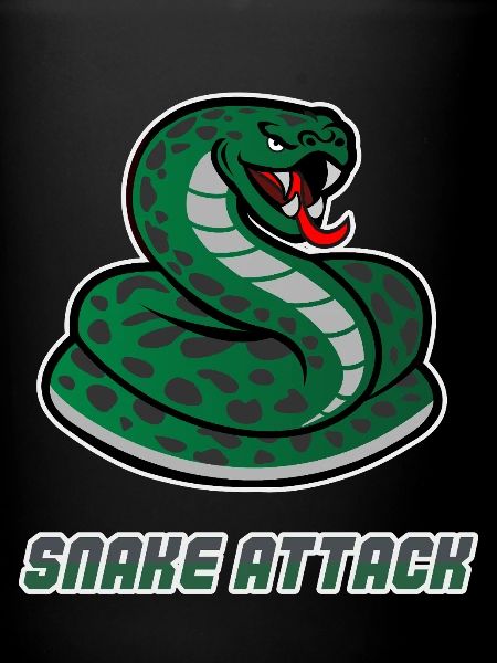 Snake Workout