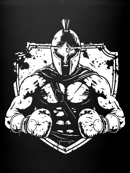 Boxe Spartan MMA